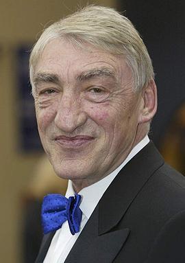 高夫莱德·约翰 照片