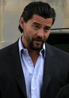 斯蒂夫·巴西奇 照片