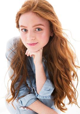 萨迪·辛克 照片